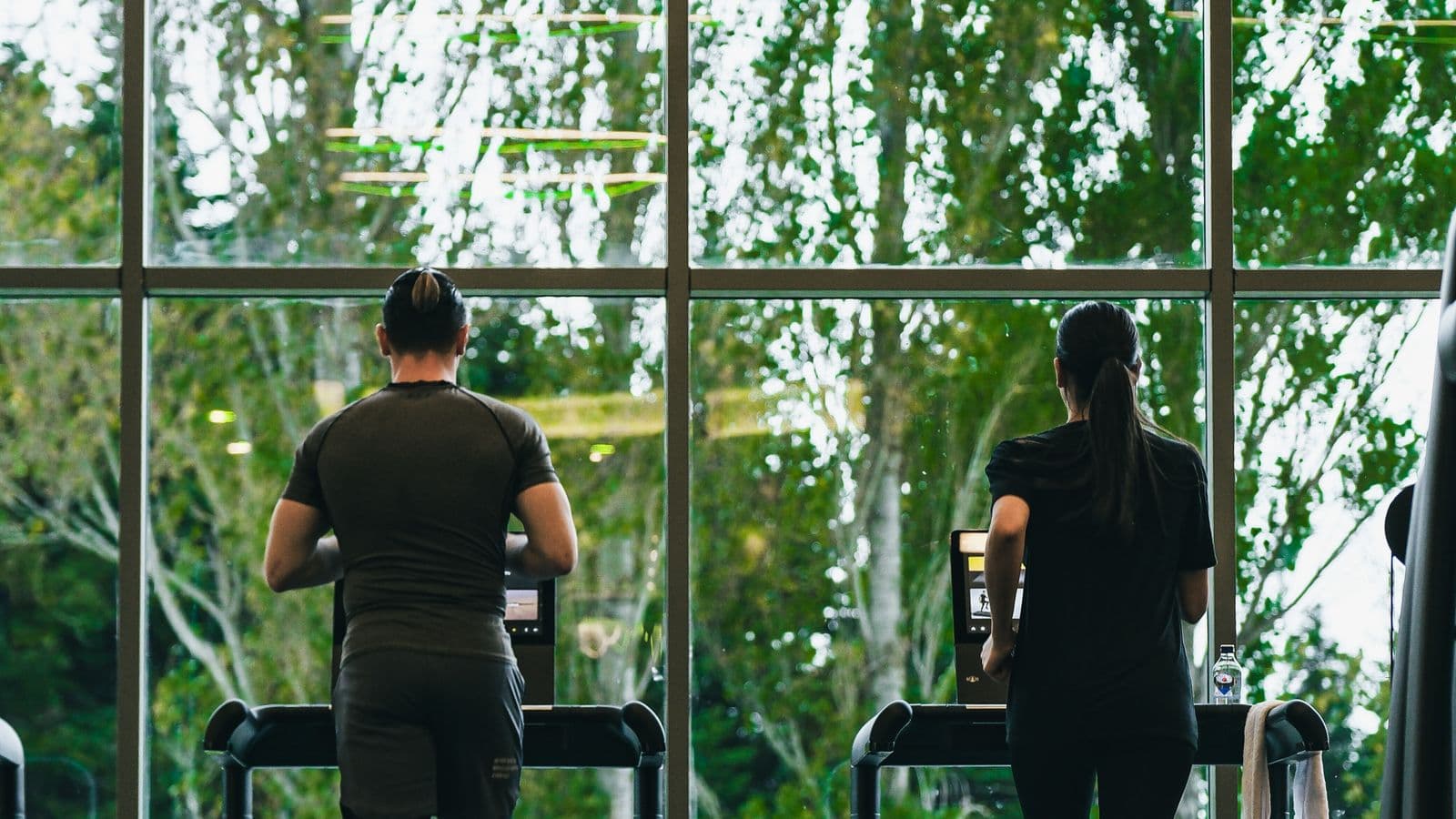A row of treadmills lined up in a fitness gym