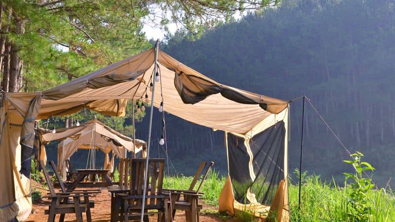 The Best Camping Stoves for Car Camping