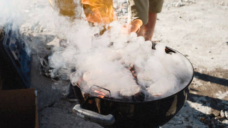 Best Portable Gas Grill for Camping: 3 Grills Worth the Trunk Space
