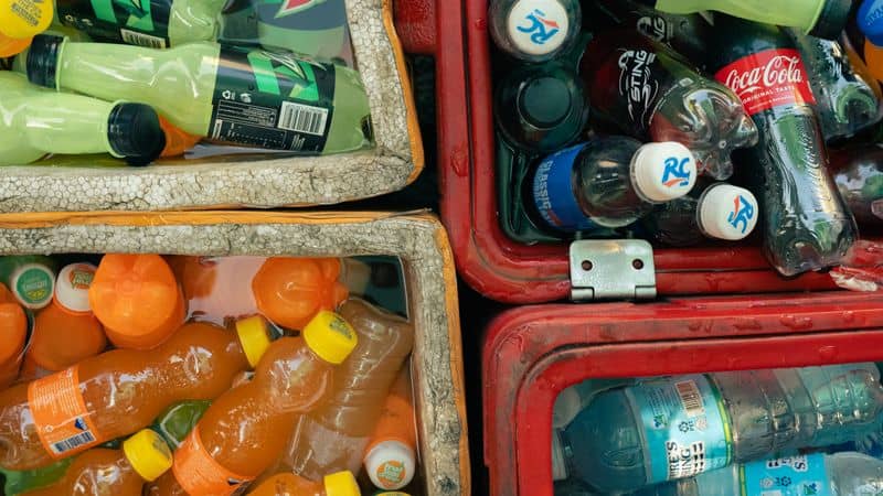 The Best Soft Coolers of 2026 (and When to Buy Them)