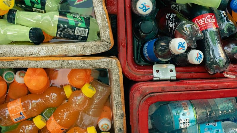 The Best Soft Coolers of 2026 (and When to Buy Them)