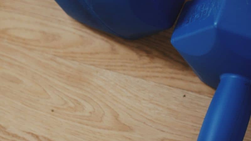 Best Treadmills Under $1,000: Top Picks + the Sale Windows That Matter