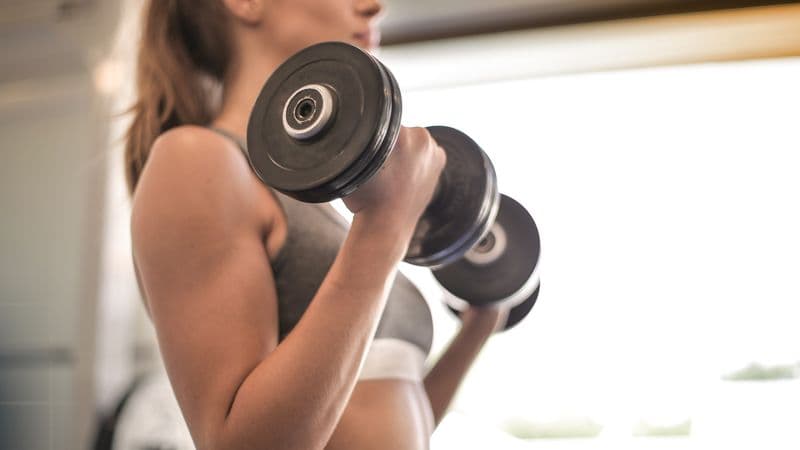 Fitness Reality 810XLT Review