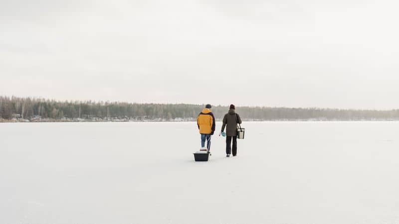 Is a Yeti Cooler Worth It? 5 Cheaper Alternatives Compared