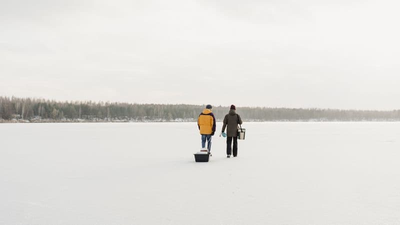 Is a Yeti Cooler Worth It? 5 Cheaper Alternatives Compared