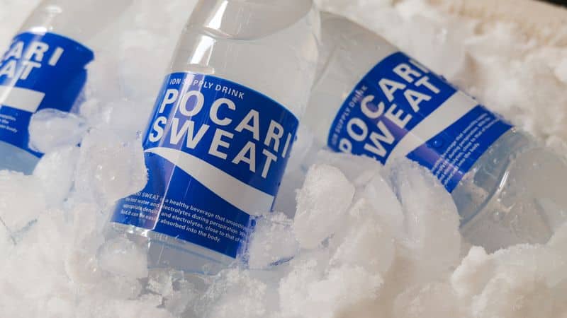 Lifetime 55 Quart Cooler Review: Budget Champ or Compromise?