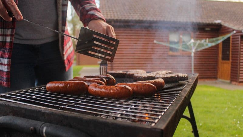 Weber Spirit E-325 Review: Is the Sear-Zone Spirit Worth It?