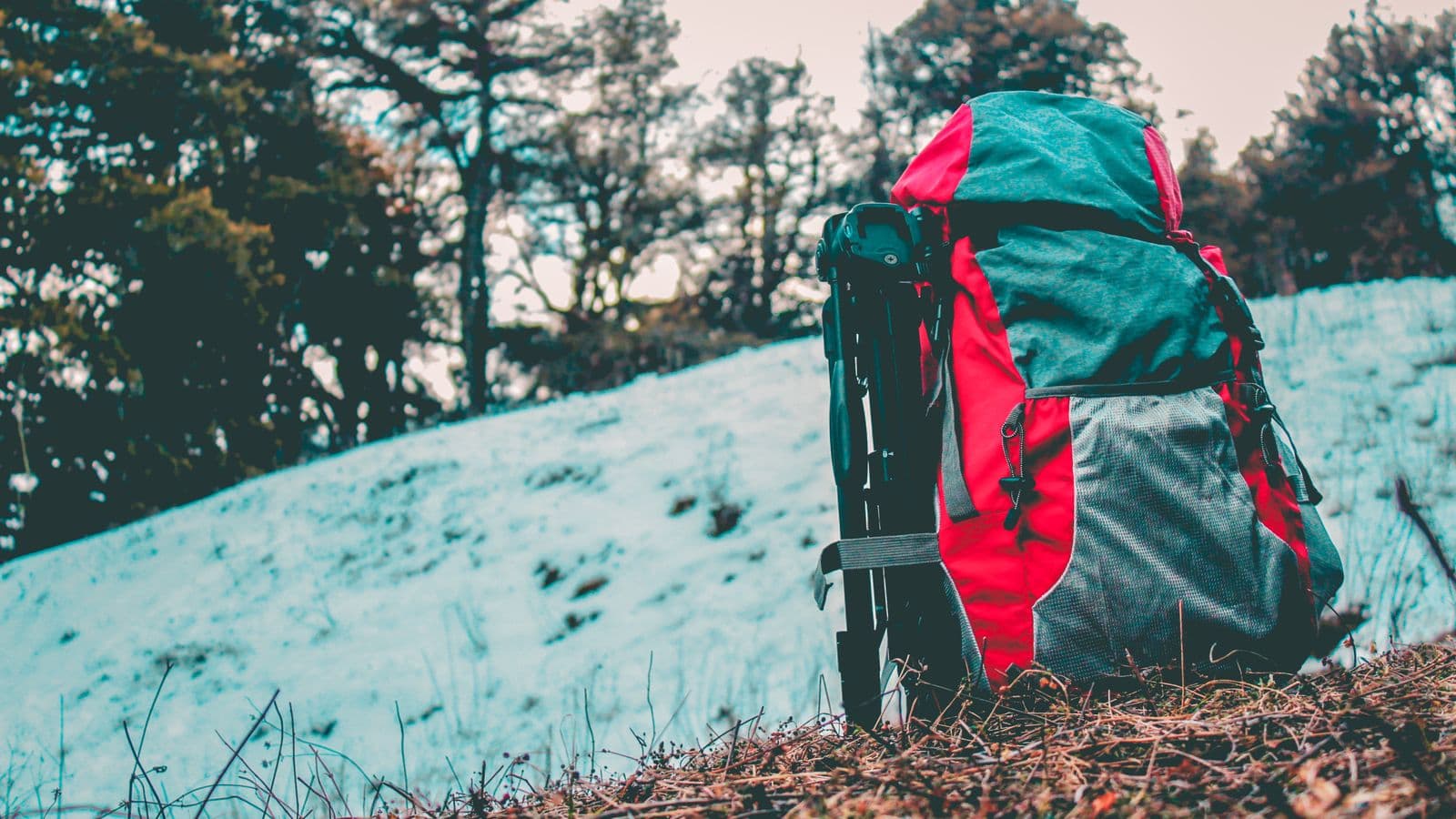 A hiker with a backpack on a mountain trail