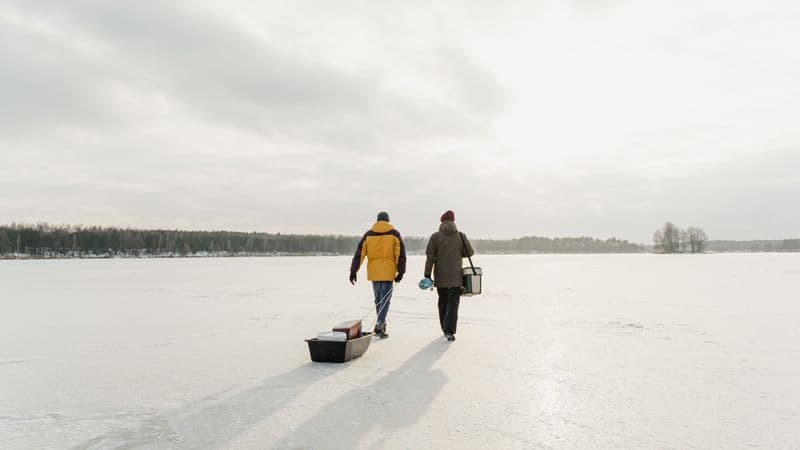 Illustrative photo for RTIC Backpack Cooler