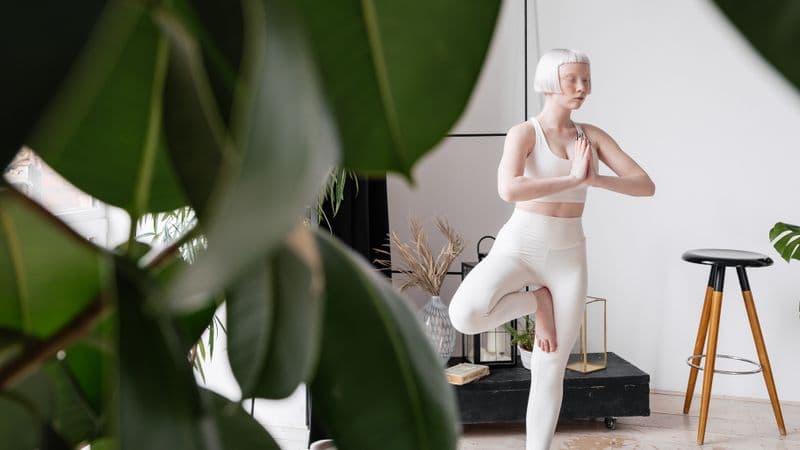 Illustrative photo for FEIERDUN Adjustable Weight Bench