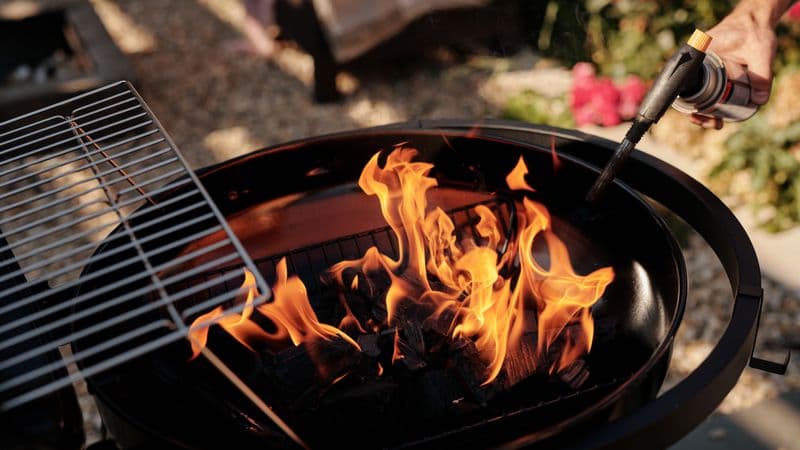 Illustrative photo for Z Grills ZPG-450A