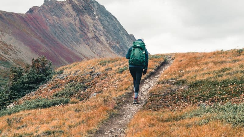Illustrative photo for Coleman Brazos 30 Sleeping Bag
