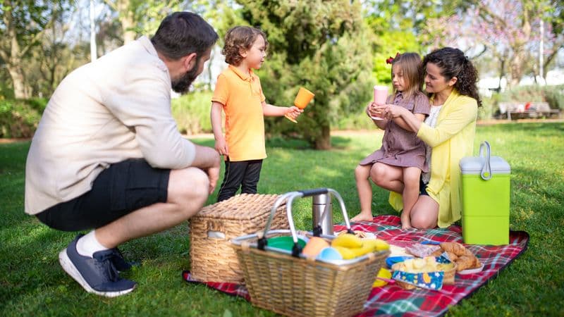 Illustrative photo for Lifetime 55 Quart High Performance Cooler