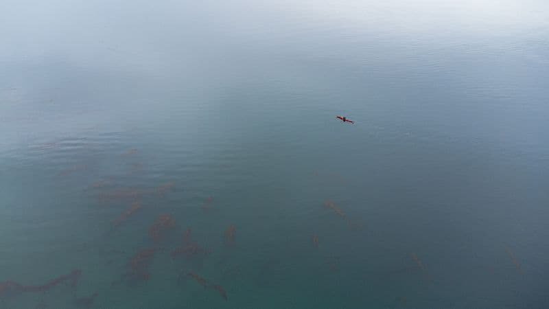Illustrative photo for Lifetime Tamarack Angler 100