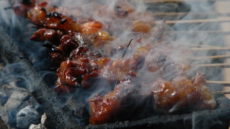 Illustrative photo for Traeger Grills Pro 575 Wood Pellet Grill & Smoker with Wifi